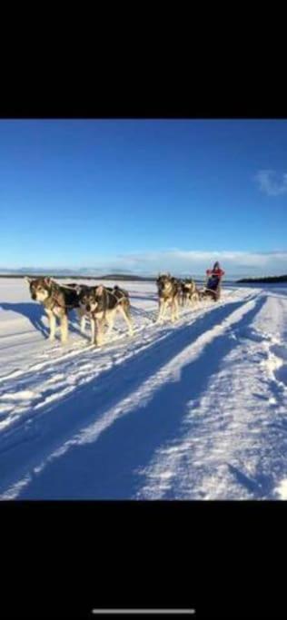 Northern Light Huts - Paradise Lapland Kiruna Εξωτερικό φωτογραφία