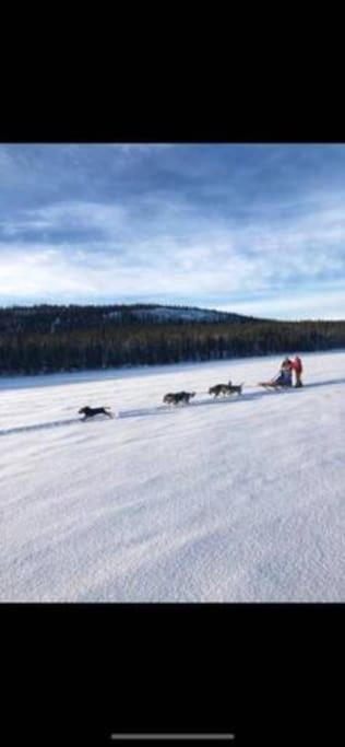 Northern Light Huts - Paradise Lapland Kiruna Εξωτερικό φωτογραφία